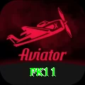 pk11 - Plus Edition v1.7.3
